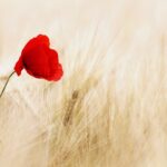 【お客様のご感想】自分を見つめるって怖いかも・・